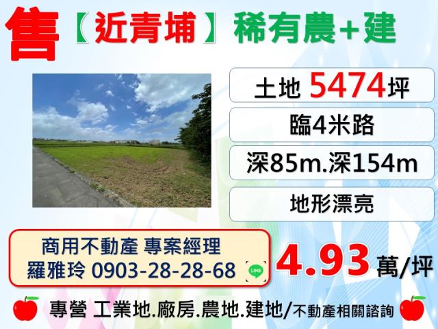 桃園中壢農地-0