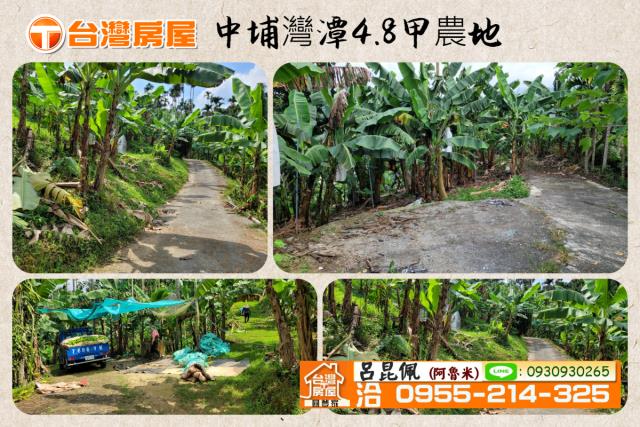 中埔農地-0