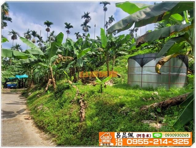 中埔農地-1