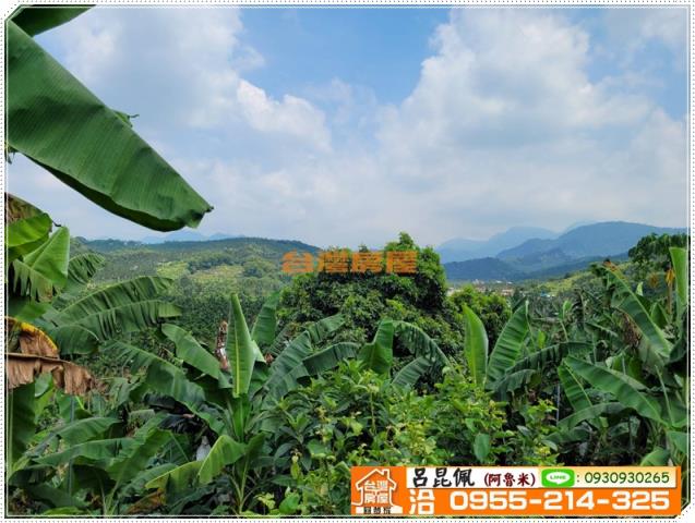 中埔農地-4