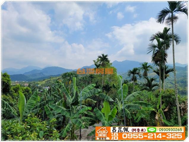 中埔農地-5