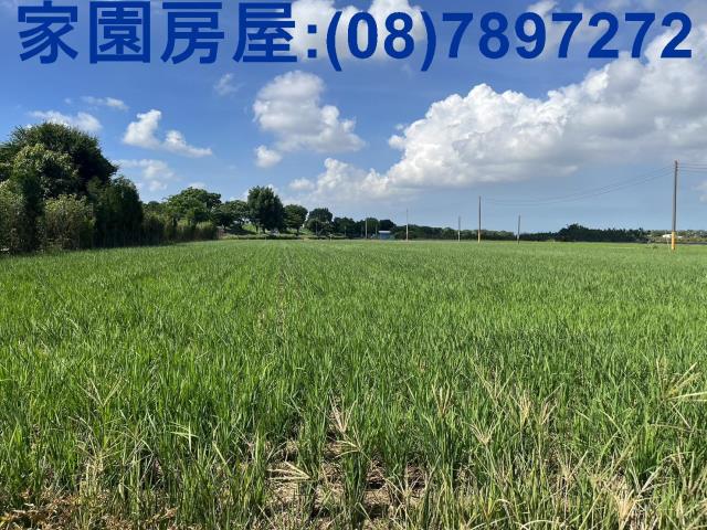 屏東萬丹農地-2