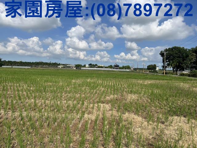 屏東萬丹農地-3