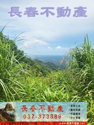 苗栗農地-1