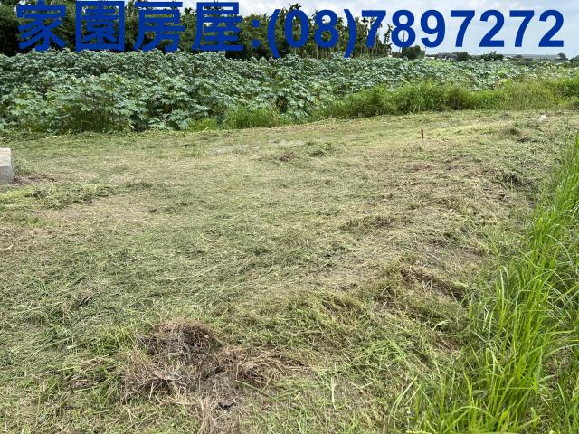 屏東農地-0