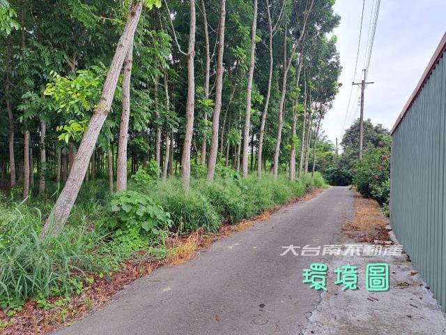 台南官田農地-2