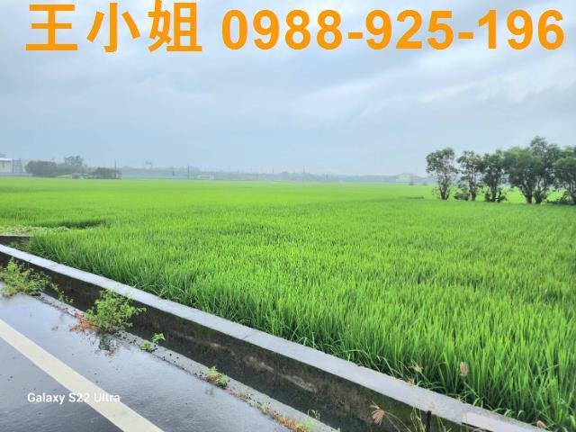 桃園農地-2