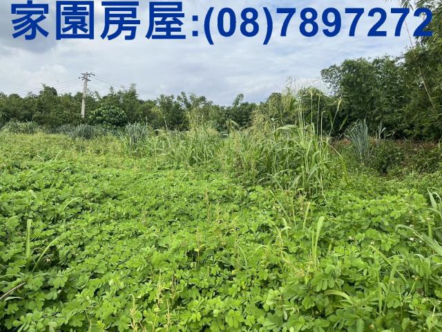 屏東農地-0