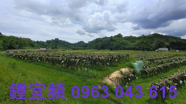 新竹休閒地-13