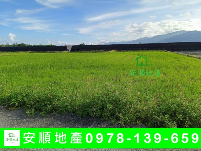 台東市農地-4