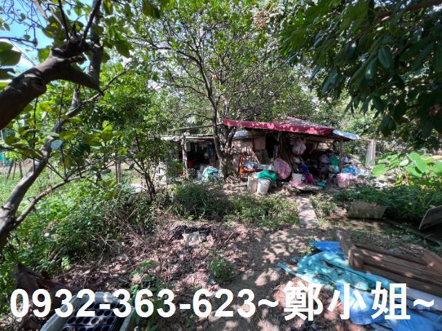 桃園桃園區農地-13