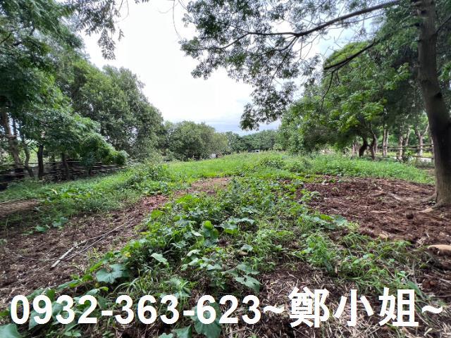 桃園蘆竹農地-11