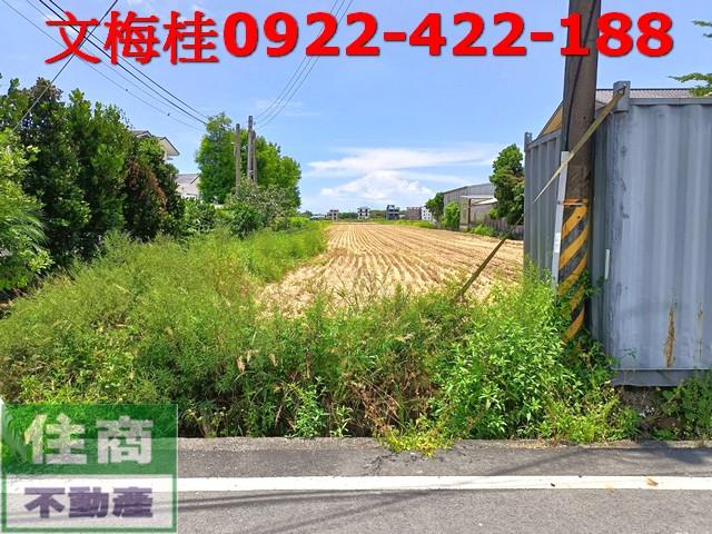 宜蘭壯圍農地-2