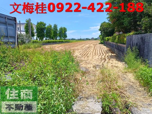 宜蘭壯圍農地-4