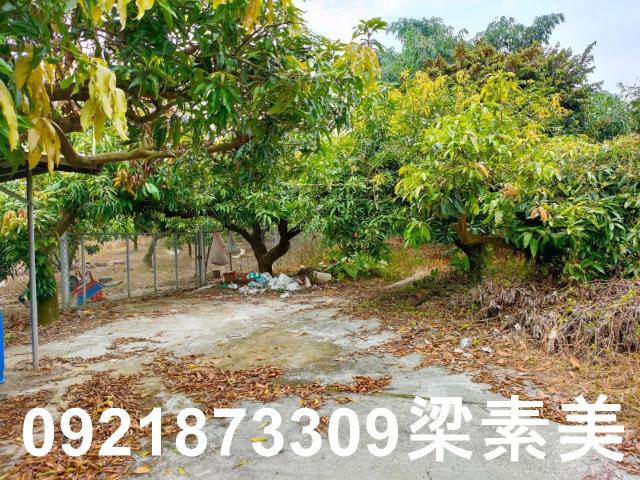 玉井農地-13