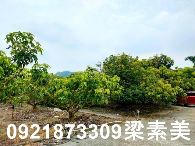 玉井農地-0