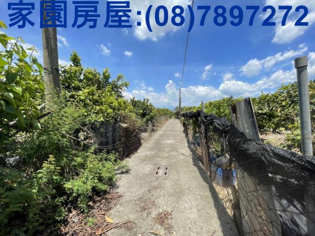 南州農地-0