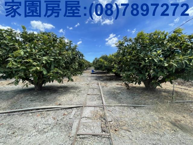 南州農地-3