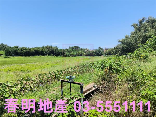 新竹竹北農地-4