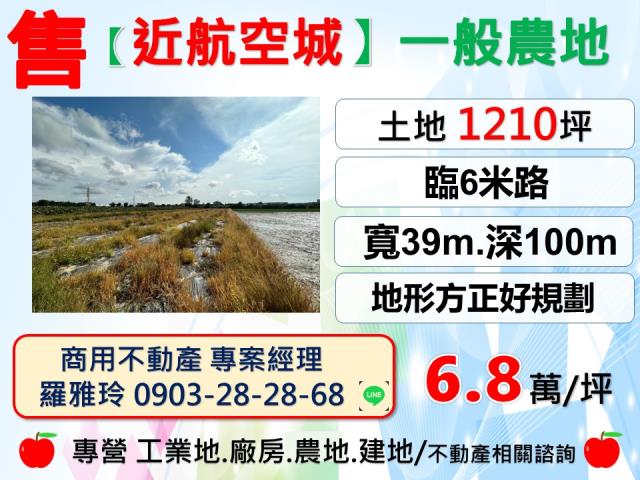 大園農地-0