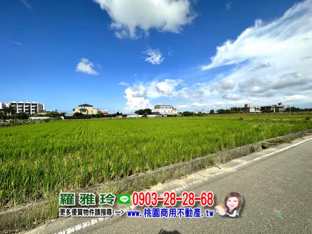 大園農地-3