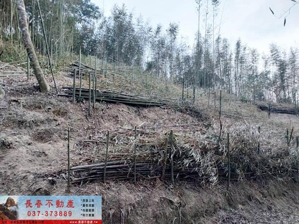 苗栗農地-4