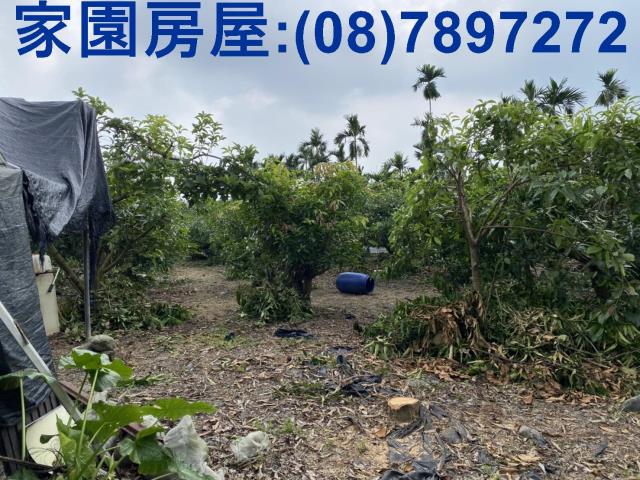 萬巒農地-1