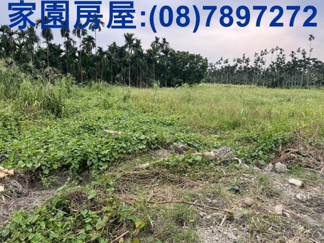 屏東竹田農地-1