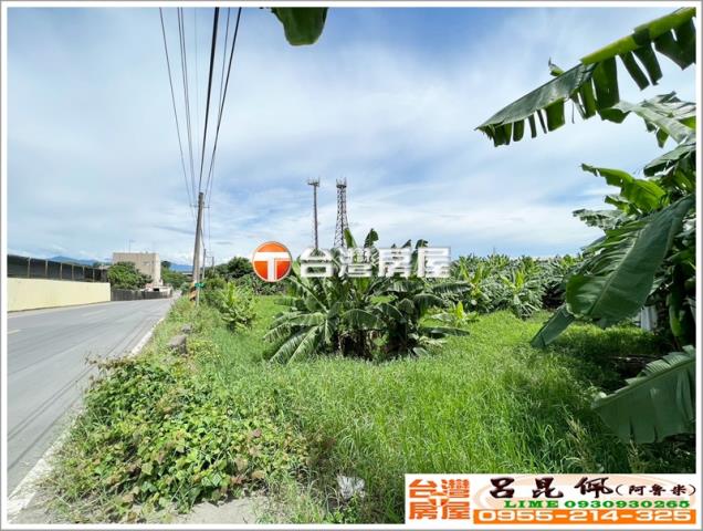 竹崎農地-4