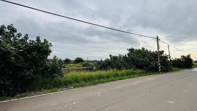 桃園大園農地-0