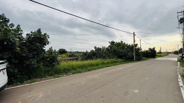 桃園大園農地-1