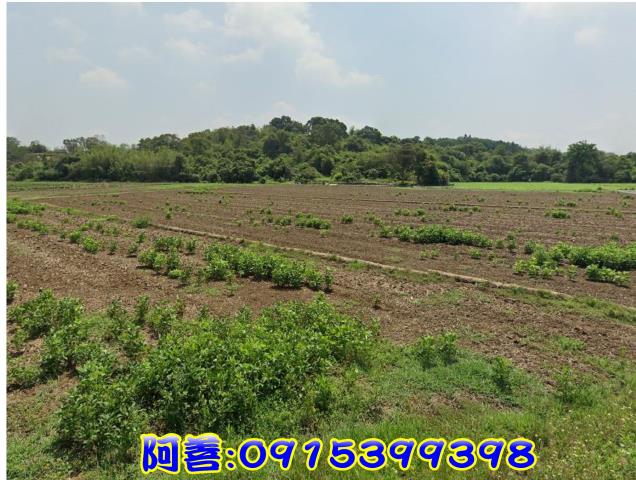官田農地-6