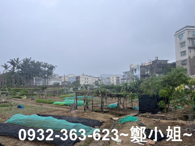 桃園八德農地-11