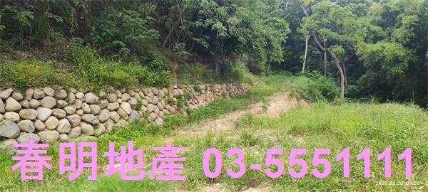 東區休閒地-5