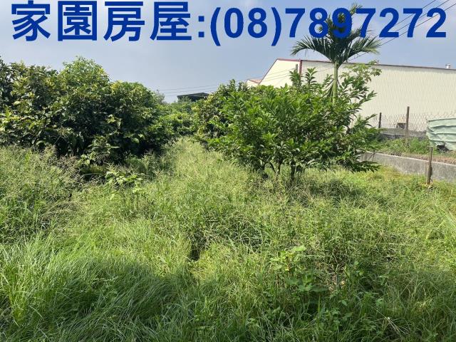 萬丹農地-1