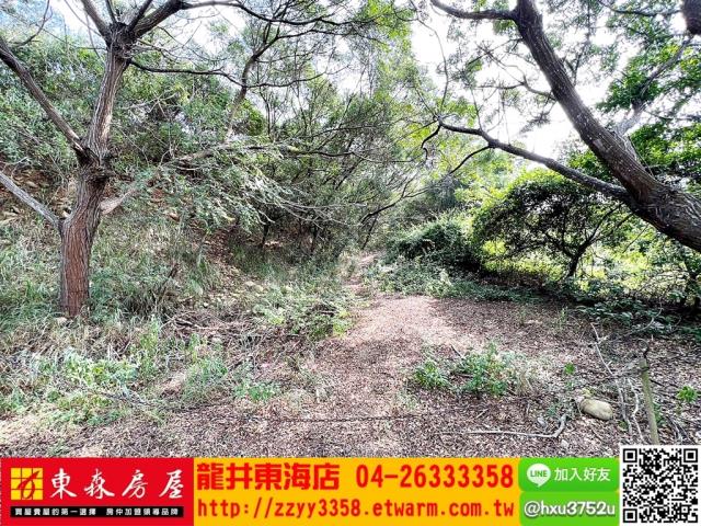 清水休閒地-7