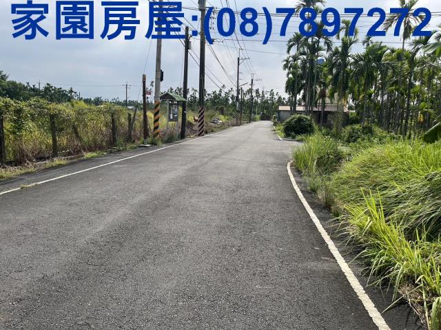 竹田農地-4