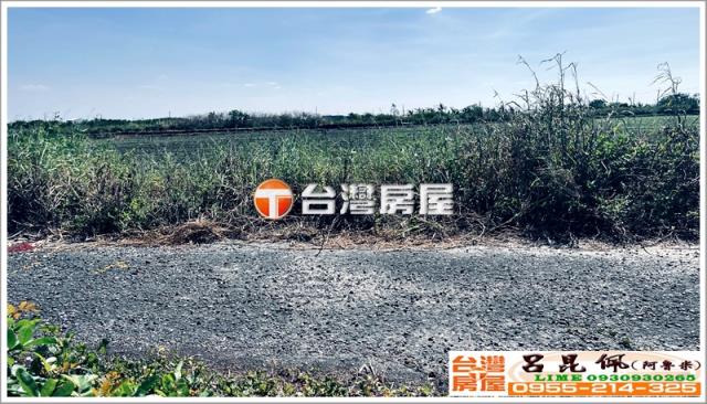 台南七股農地-3