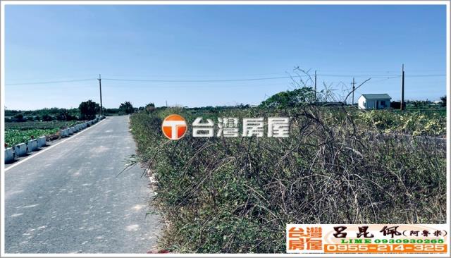 台南七股農地-4