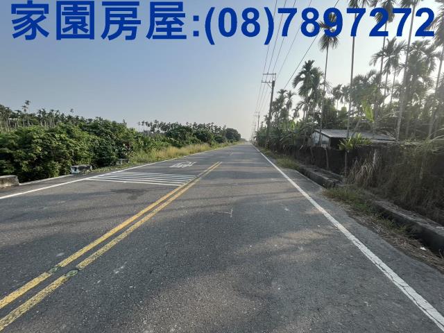 竹田農地-4
