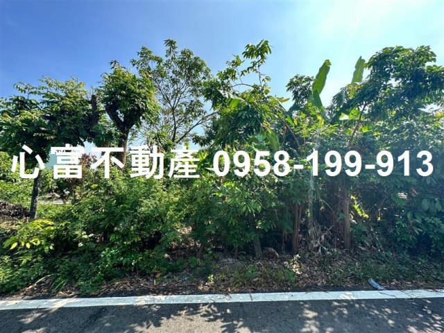 橋頭農地-0