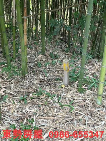 台中東勢農地-14