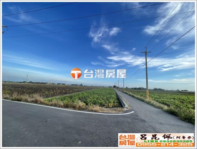 布袋農地-3