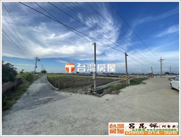 布袋農地-4