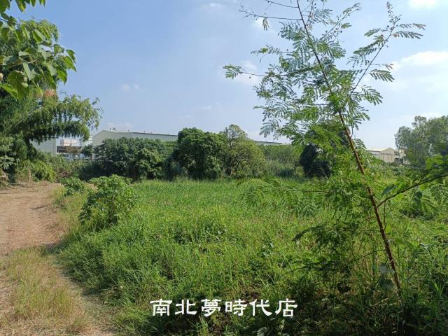 善化農地-0