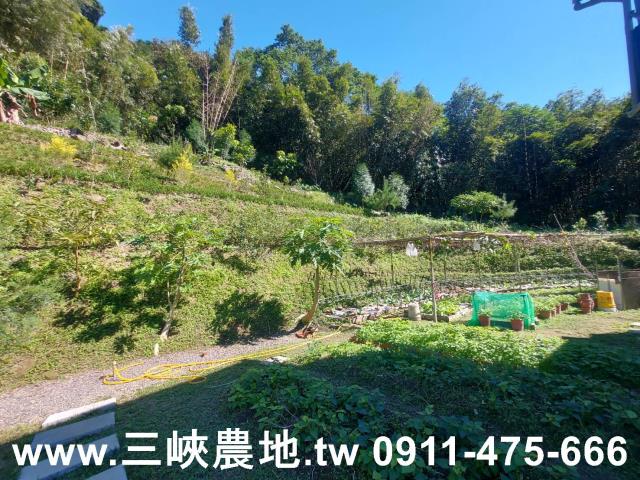 新北農地-8
