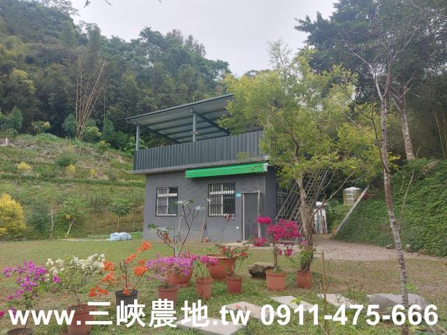 新北農地-0