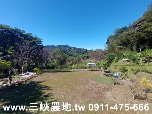新北農地-3