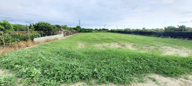 台南農地-11