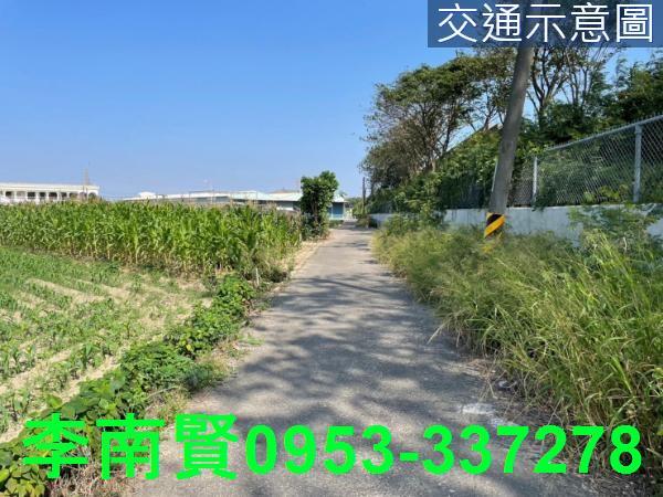 新營農地-5